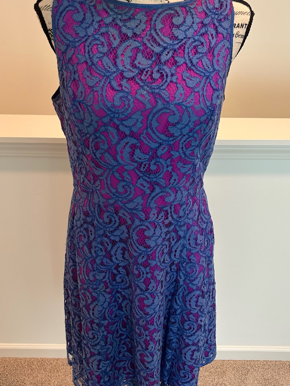 Adrianna Papell Blue Lace Overlay Dress with Pink Lining